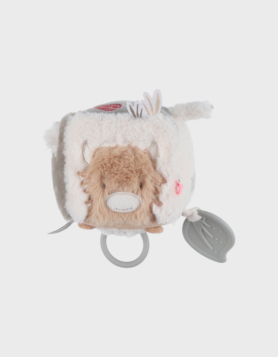 Noukies - Activiteiten Kubus - Fluffy en Orso en Lily